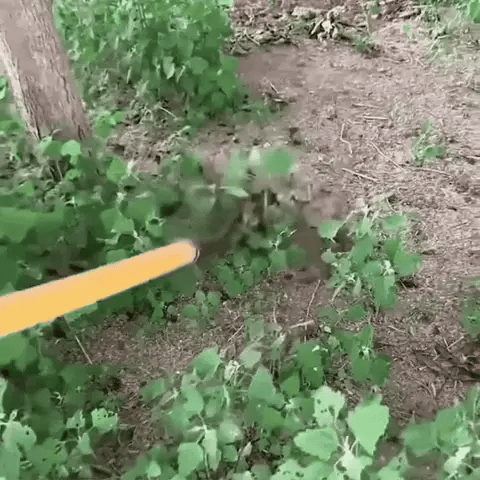 Garden Weeding Tool with 5 Durable Steel Claws