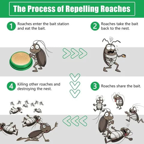 Cockroach Killer Gel (Buy 12 Get 12 FREE)