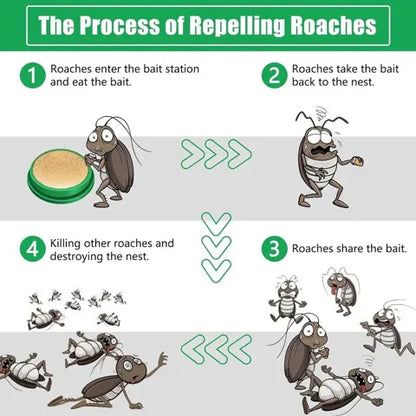 Cockroach Killer Gel (Buy 12 Get 12 FREE)