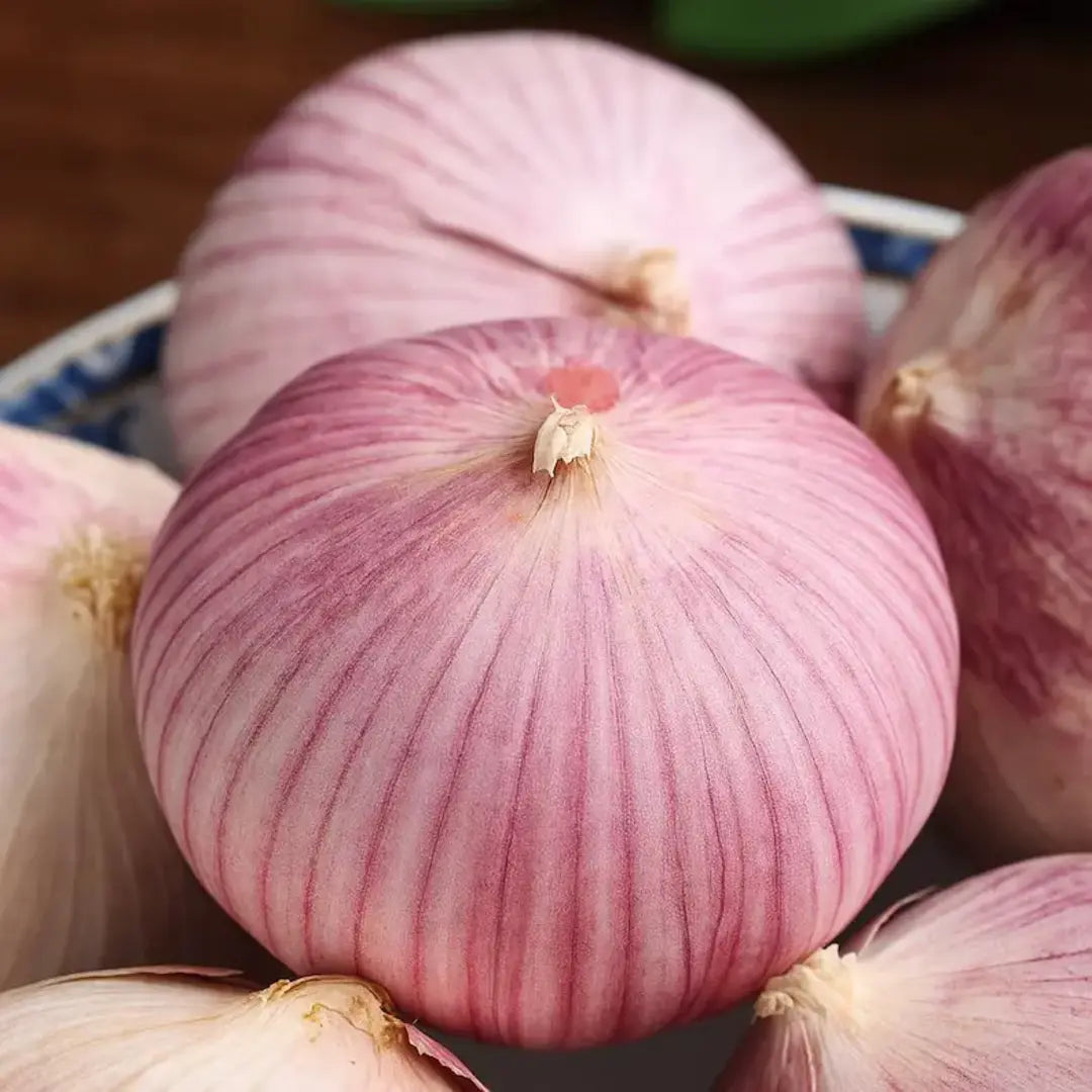 Single Clove Garlic Seeds + FREE Plant Growth Serum