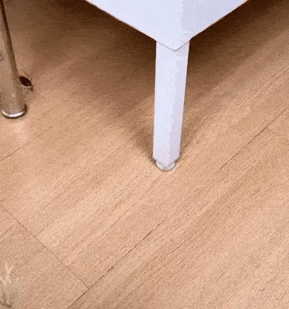 Cockroach Killer Gel (Buy 12 Get 12 FREE)