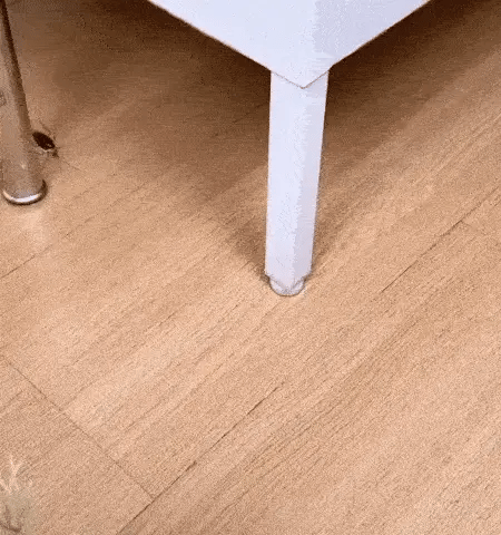 Cockroach Killer Gel (Buy 12 Get 12 FREE)