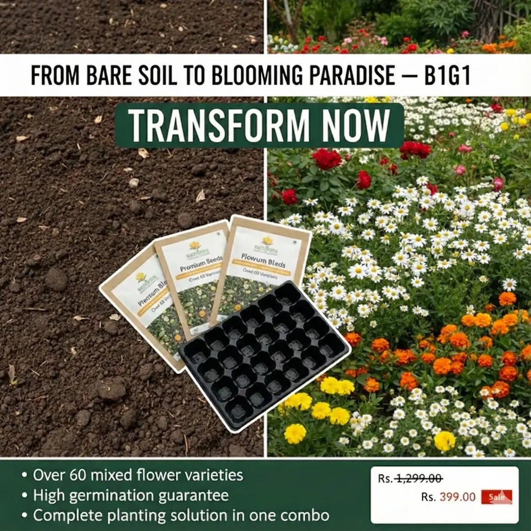 Premium Flower Seeds (Pack of 100) + FREE Plant Growth Supplement