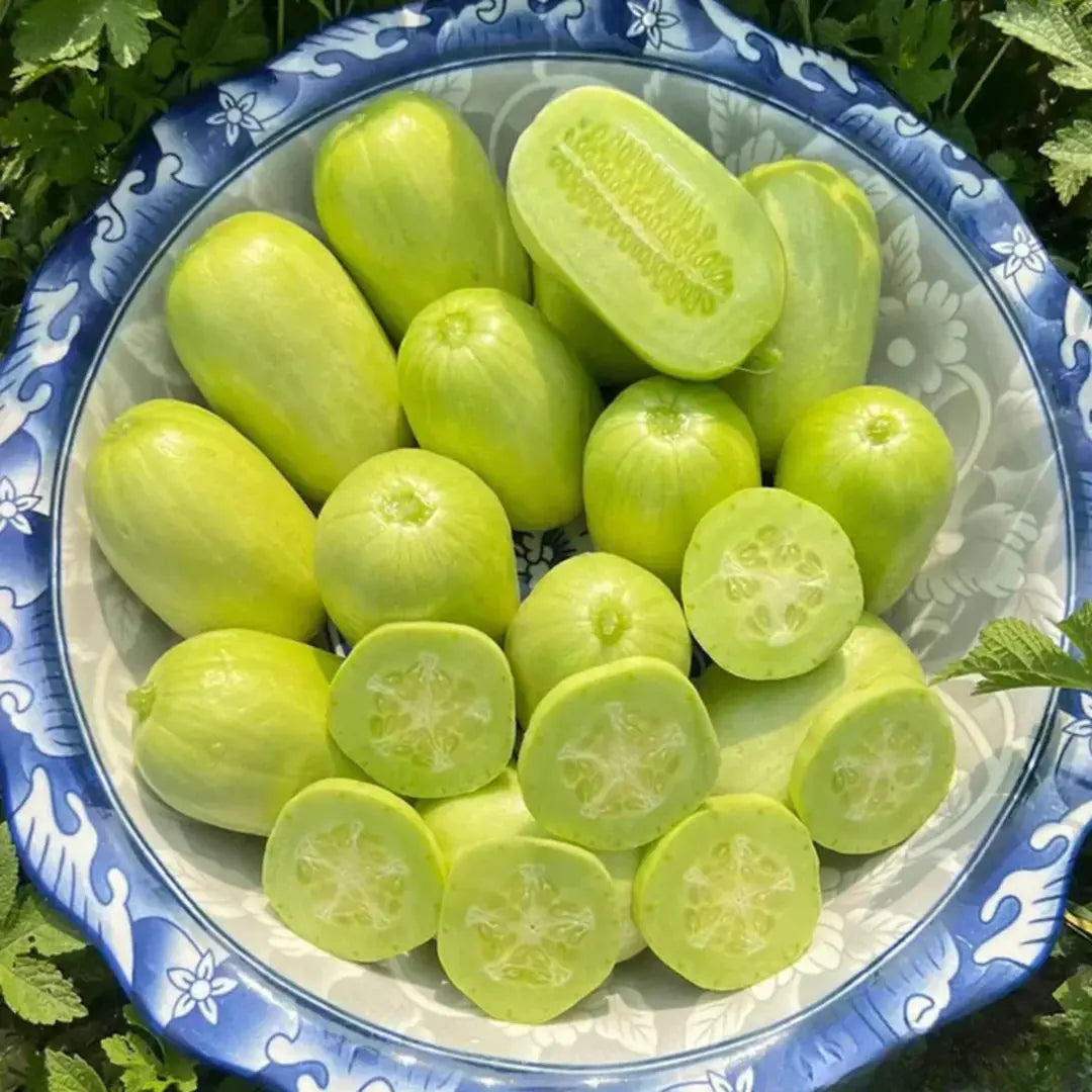 Golden Lady Cucumber Seeds