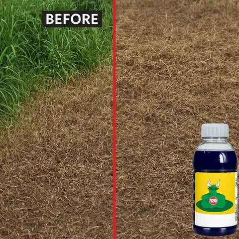 High Concentration Glufosinate Herbicide (BUY 1 GET 1 FREE)